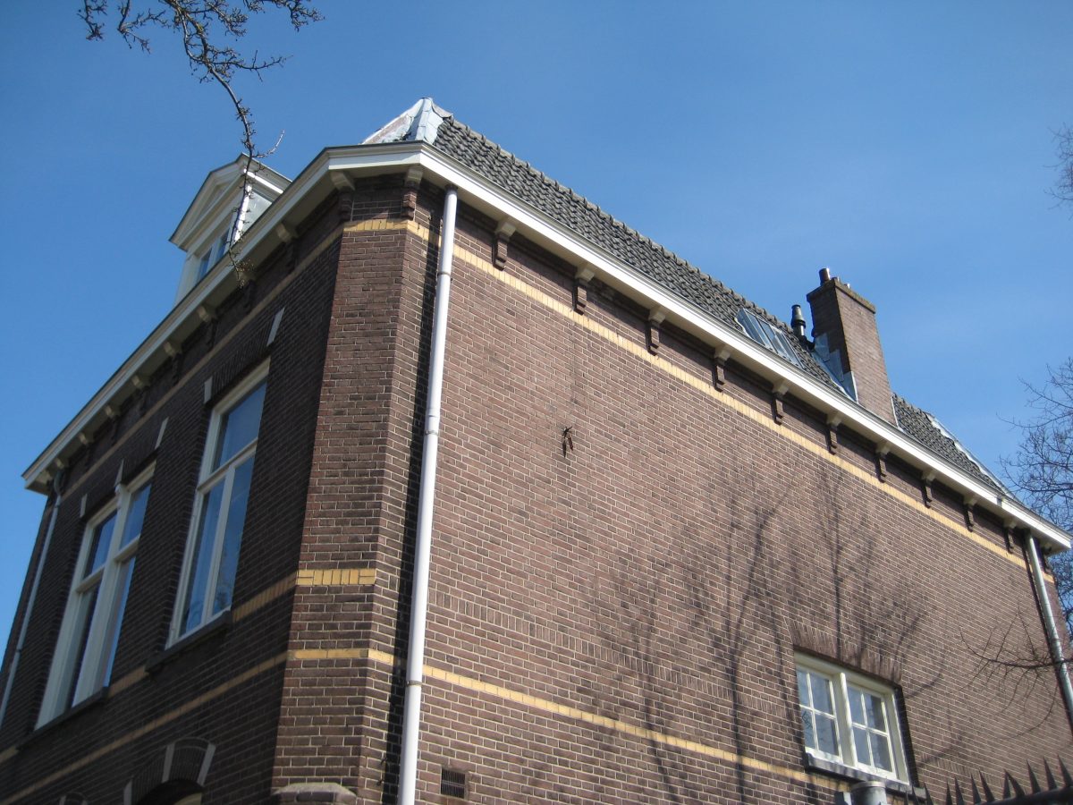 image8